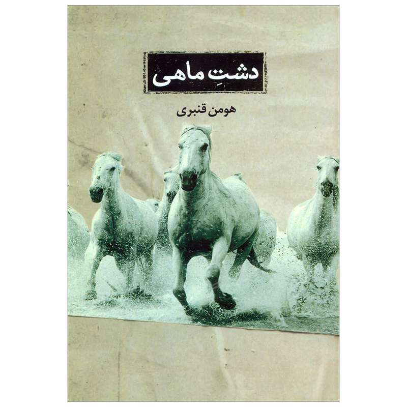 کتاب دشت ماهی اثر هومن قنبری انتشارات حکمت کلمه 