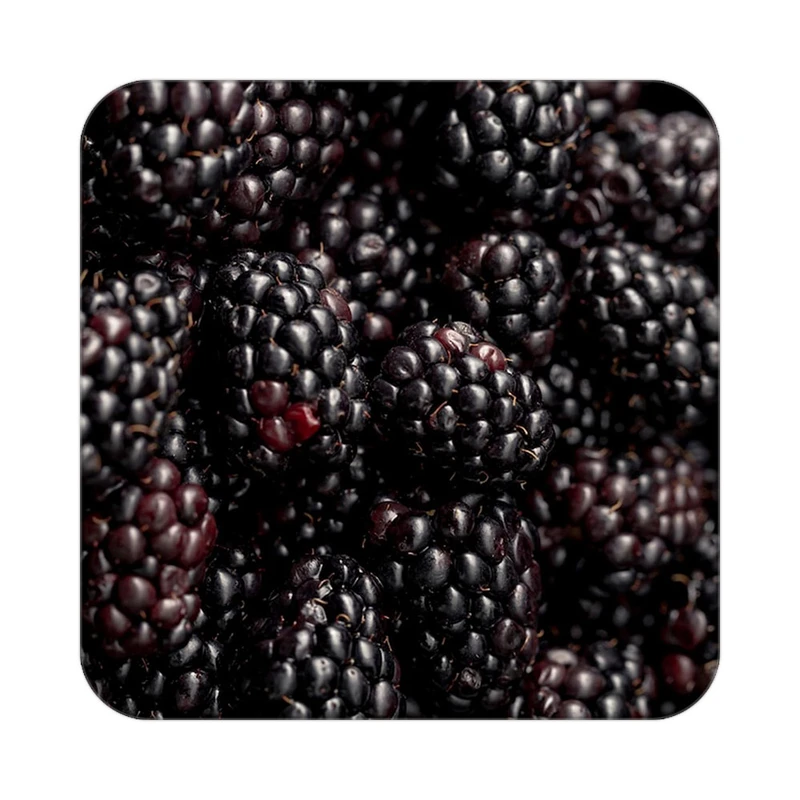 زیر لیوانی کاکتی طرح میوه مدل mp20120