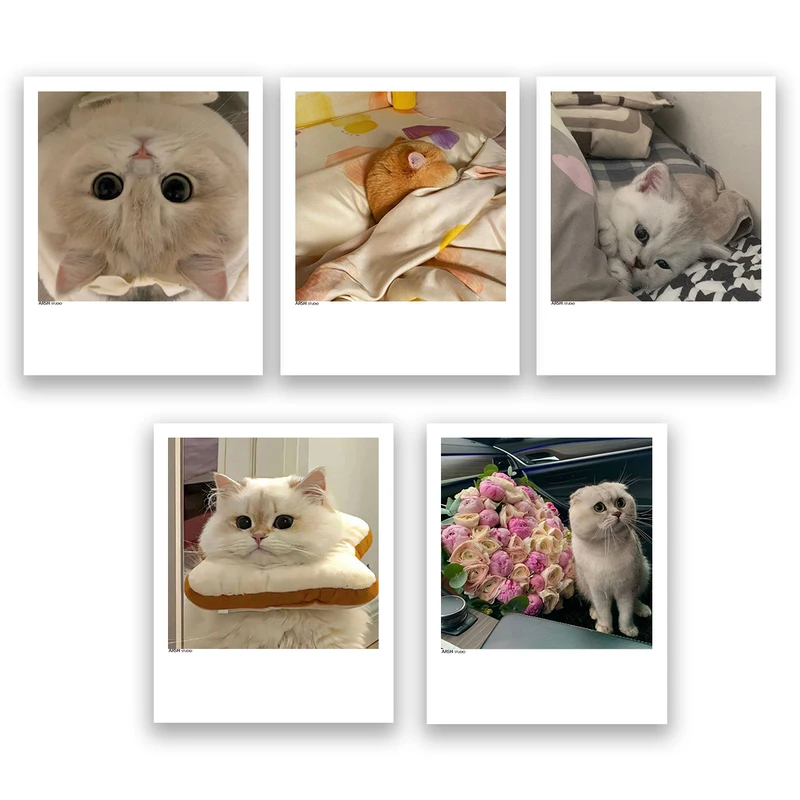 آویز تزیینی عرش مدل فانتزی گربه بامزه کد Asa351 مجموعه پنچ عددی