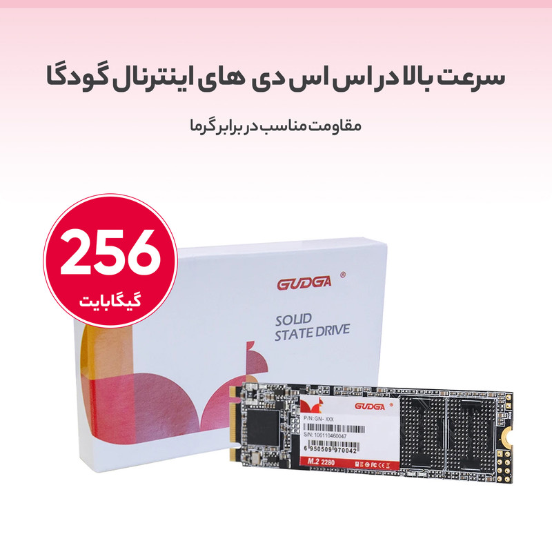 اس اس دی اینترنال گودگا مدل M.2_2280 ظرفیت 256 گیگابایت