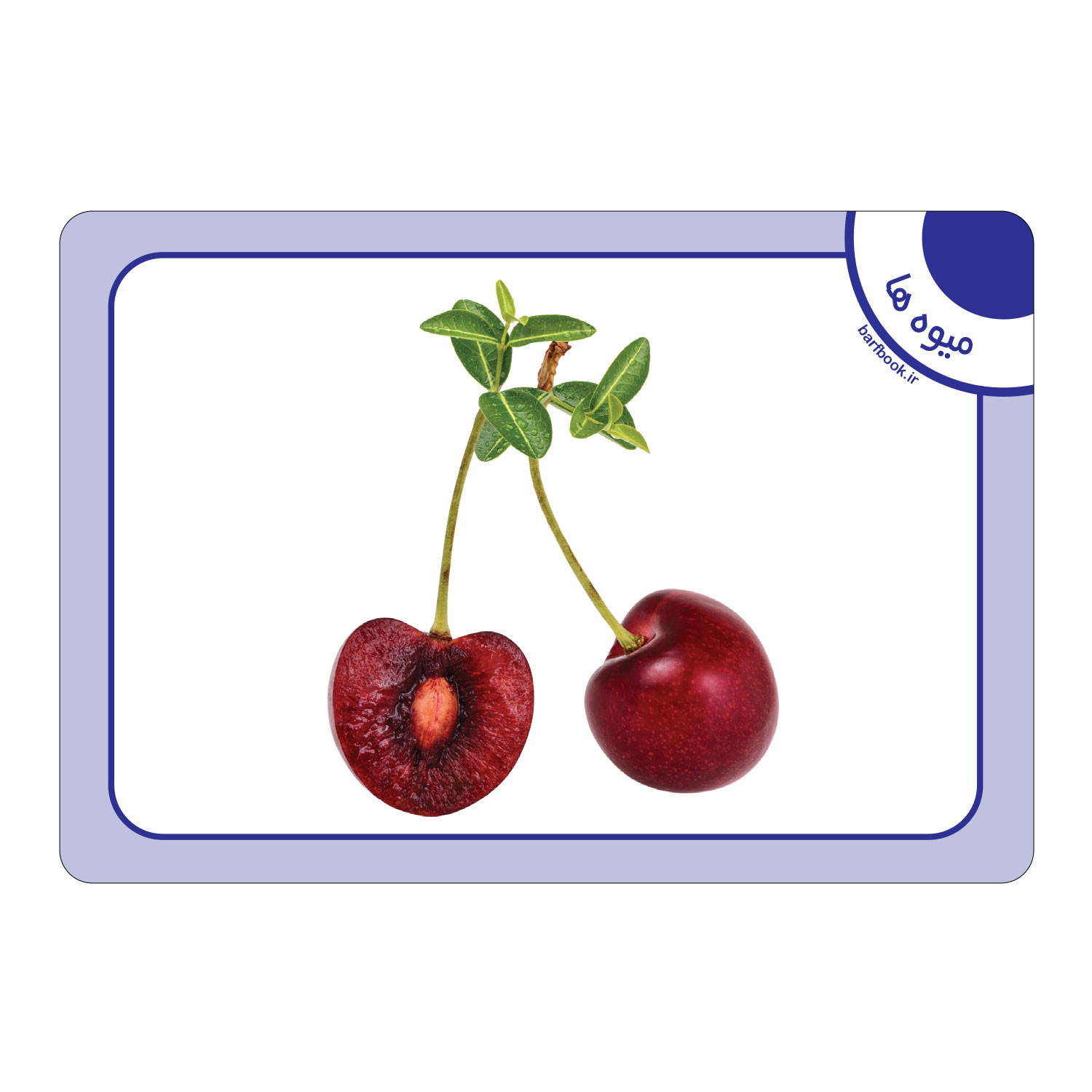 فلش کارت میوه ها انتشارات برف