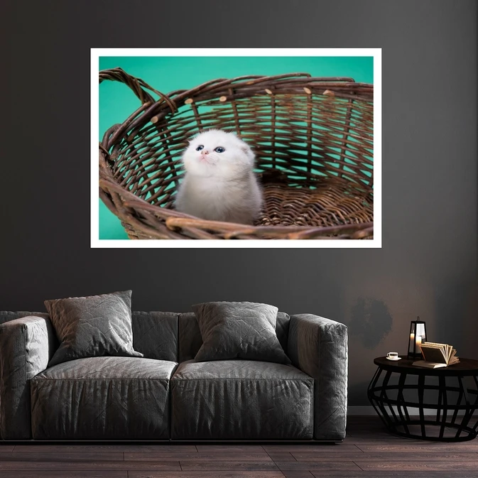 تابلو بکلیت طرح بچه گربه مدل قاب شاسی W-s8495