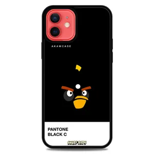 AKAM AMC-AW12-ANGRY BIRDS9 Cover For Apple iPhone 12