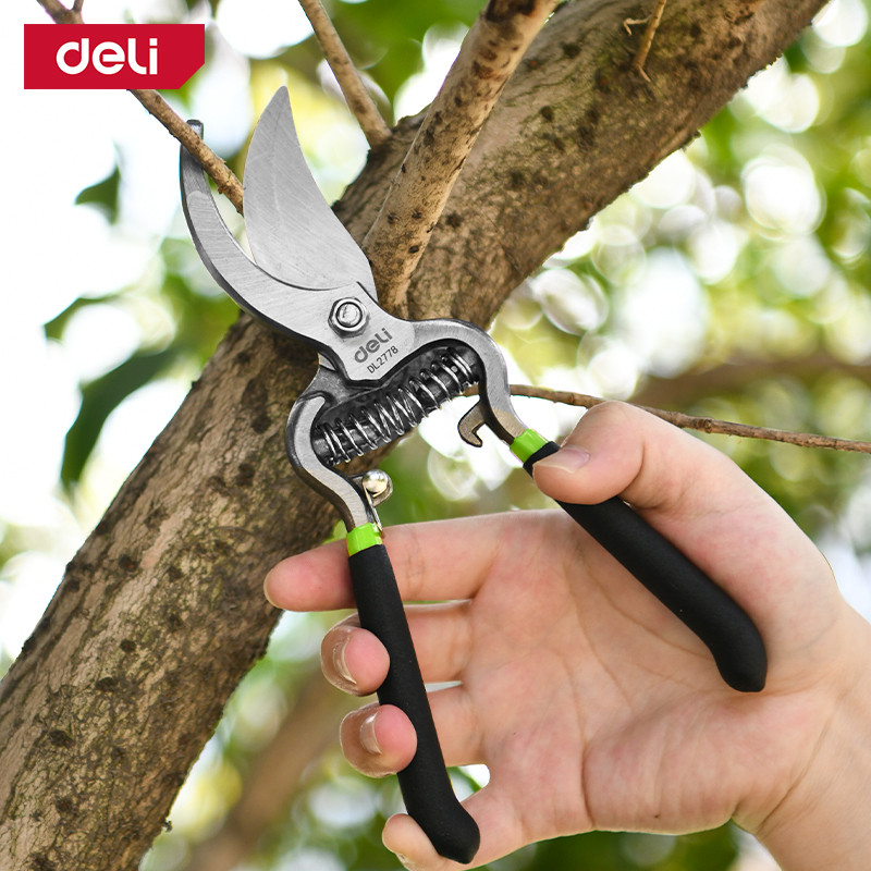 قیچی باغبانی دلی مدل DL2778 سایز 8 اینچ