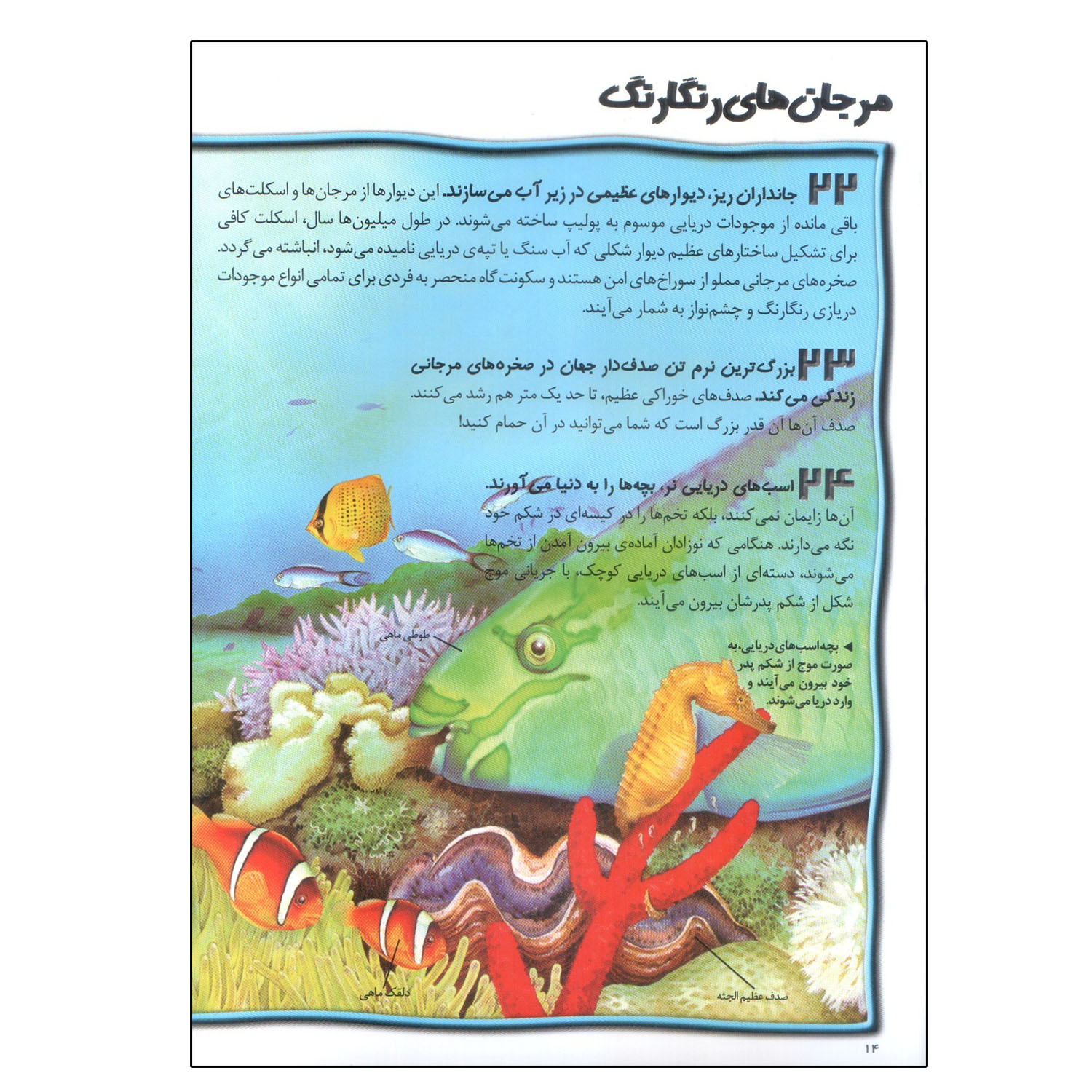 کتاب 100 حقیقت درباره ی اقیانوس ها اثر کلر الیور انتشارات سایه گستر