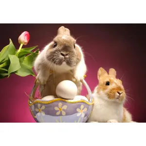 تابلو شاسی مدل خرگوش و تخم مرغ و گل T5858