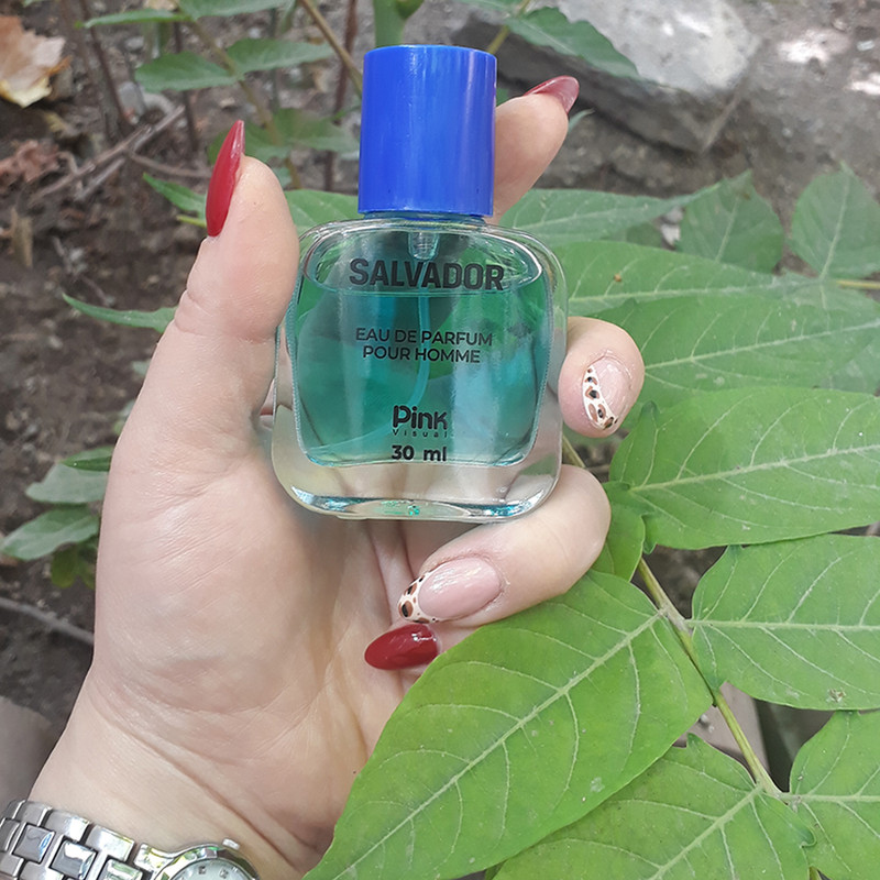 عطر جیبی مردانه پینک ویژوال مدل SALVADOR حجم 30 میلی لیتر عطر جیبی مردانه پینک ویژوال مدل SALVADOR حجم 30 میلی لیتر