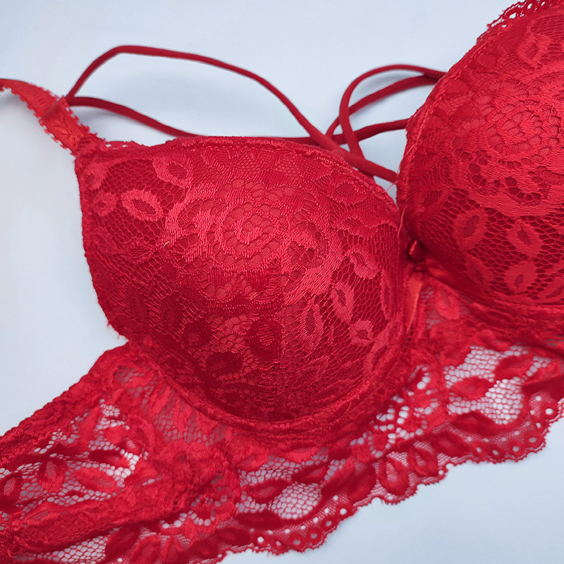 سوتین زنانه مدل اسفنجی دکلته هارنس دوبل گیپور جکدار کاپ B کد 685795