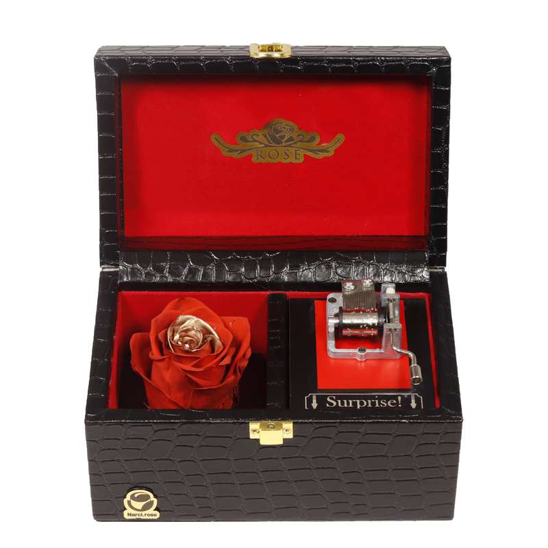 گل رز جاودان مدل موزیکال 713