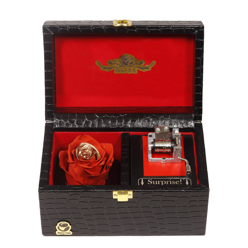 گل رز جاودان مدل موزیکال 713