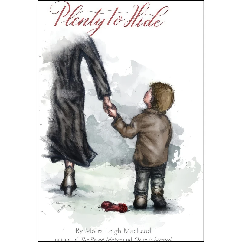 کتاب Plenty to Hide اثر Moira Leigh MacLeod انتشارات Tellwell Talent