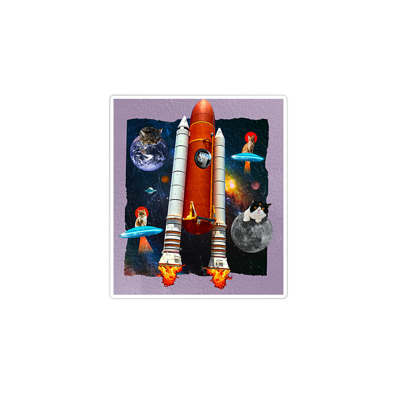 استیکر لپ تاپ ماسا دیزاین طرح nasa.گربه مدل venus527