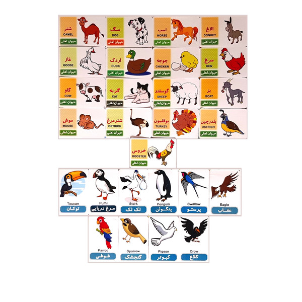بازی آموزشی مدل حیوانات اهلی و پرندگان کد BA7 مجموعه 27 عددی