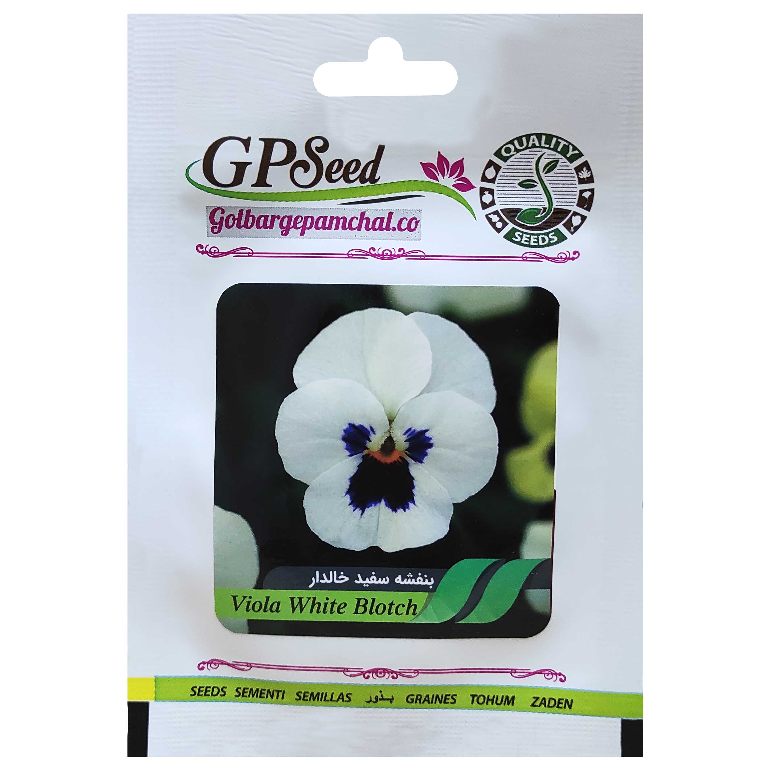 بذر گل بنفشه سفید خالدار گلبرگ پامچال کد GPF-236