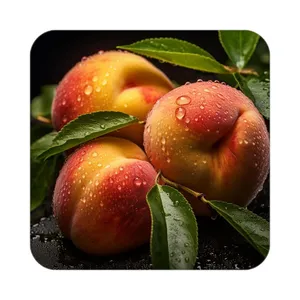 زیر لیوانی کاکتی طرح میوه مدل mp21725
