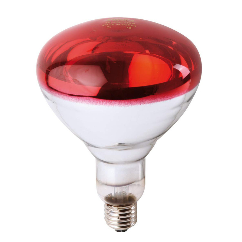 لامپ ممادون قرمز 150 وات فیلیپس مدل IR پایه E27