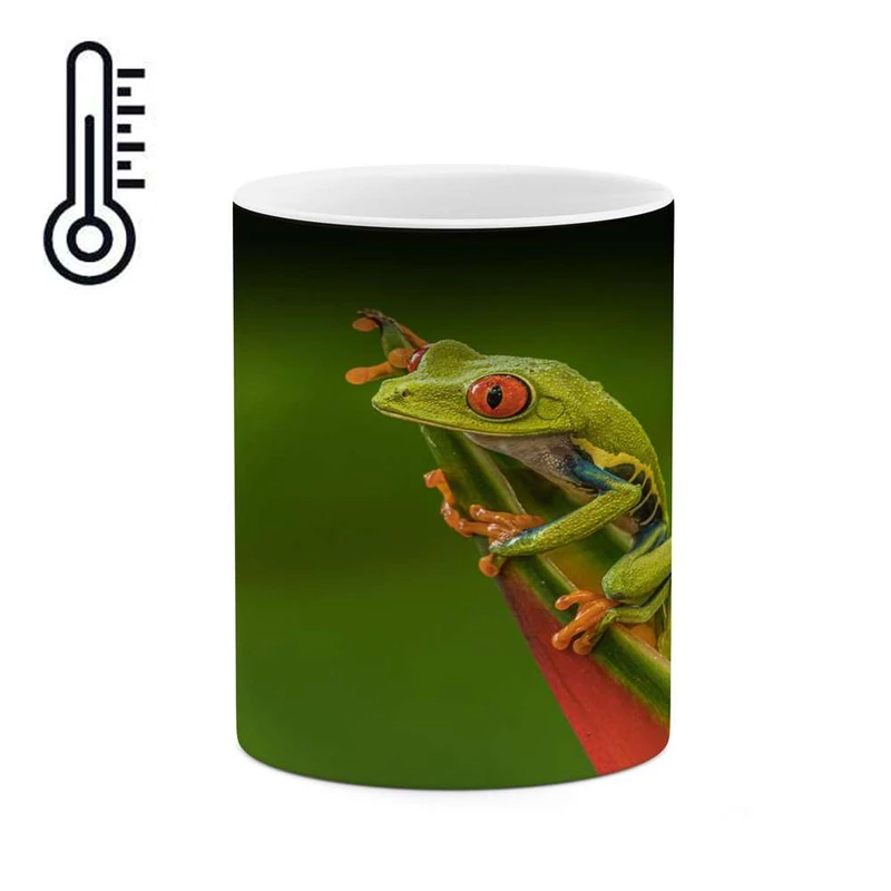 ماگ حرارتی کاکتی مدل قورباغه کد mgh14588