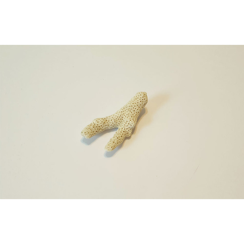 مرجان تزیینی آکواریوم مدل lde32 مجموعه 5 عددی