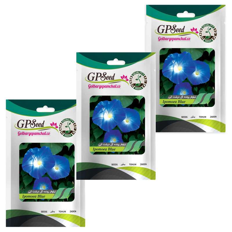 بذر گل نیلوفر رونده گل درشت آبی گلبرگ پامچال مدل A10 مجموعه 3 عددی