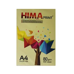 کاغذ رنگی A4 هیما مدل NHC500 بسته 500 عددی