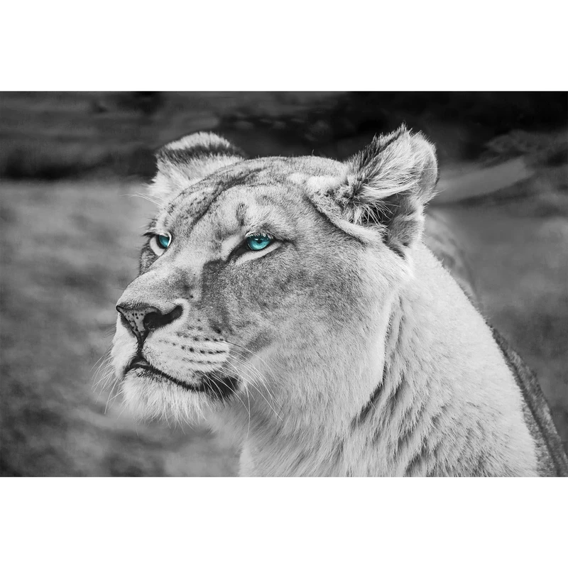 تابلو شاسی طرح شیر مدل T1621