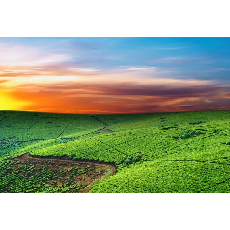 تابلو شاسی مدل دشت و سبزه و آسمان و غروب آفتاب T7074