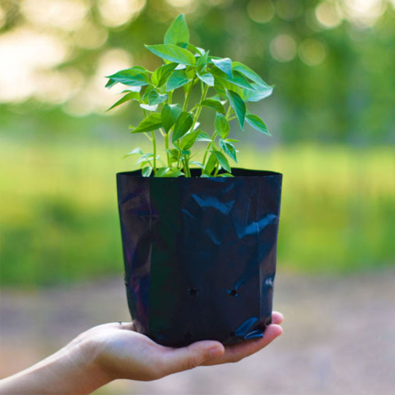 کیسه کاشت نهال مدل G30 بسته 30 عددی کیسه کاشت نهال مدل G30 بسته 30 عددی