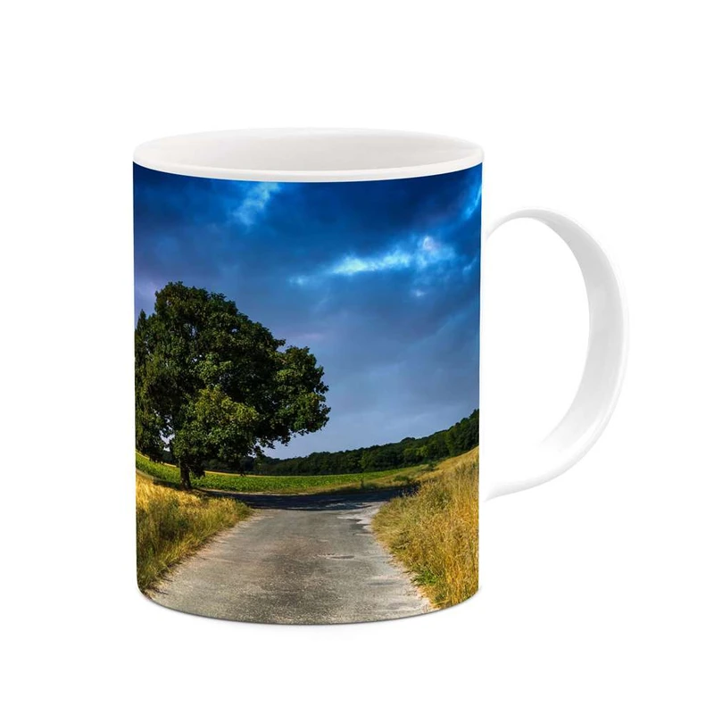 ماگ کاکتی مدل منظره کد mgh13126