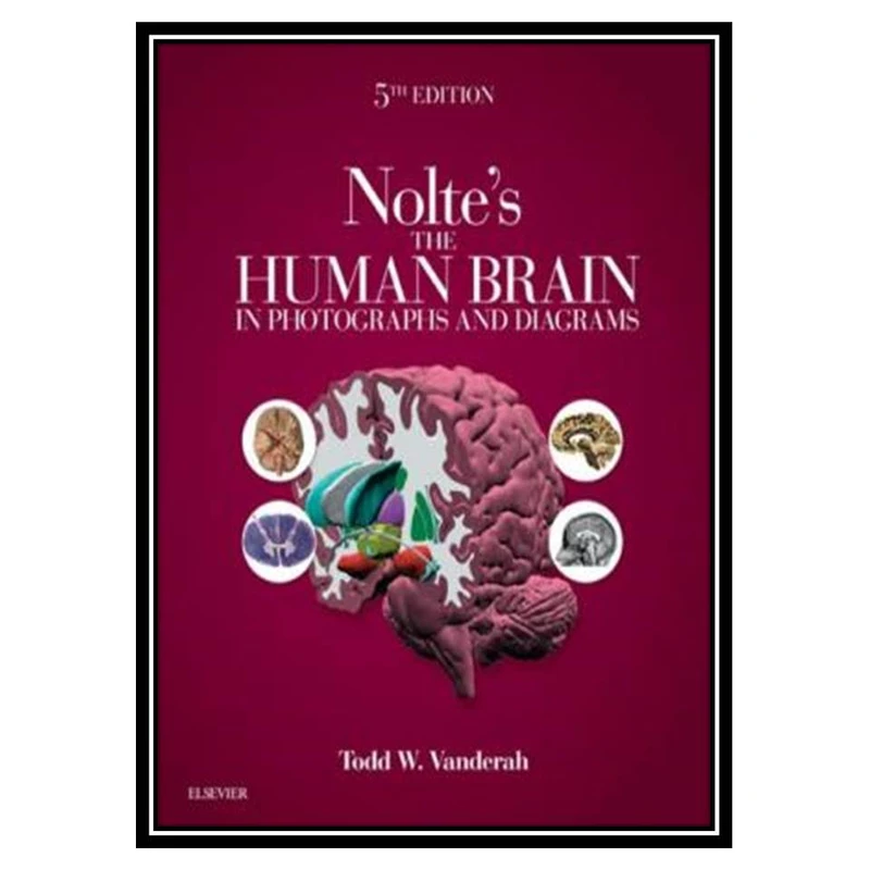 کتاب Noltes The Human Brain in Photographs and Diagrams اثر Todd Vanderah انتشارات مؤلفین طلایی