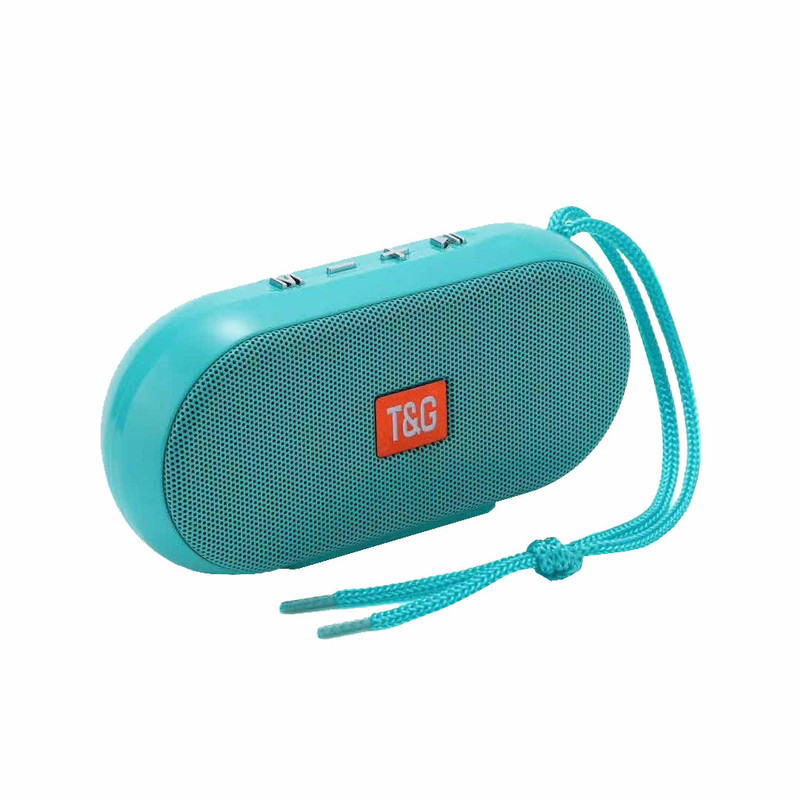 اسپیکر بلوتوثی قابل حمل تی اند جی مدل TG-179