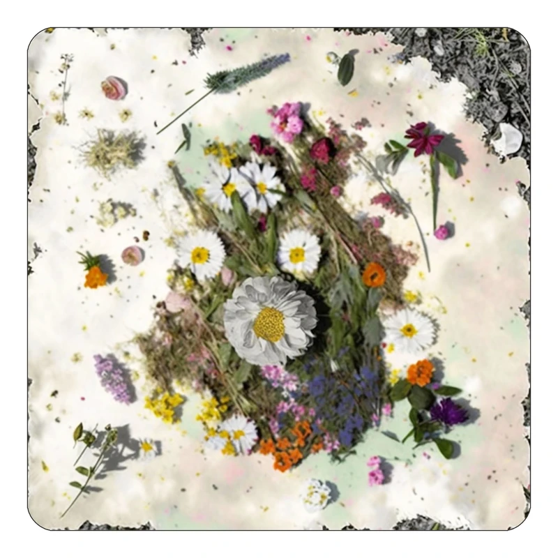 مگنت کاکتی طرح نقاشی رنگ روغن مدل mp73443