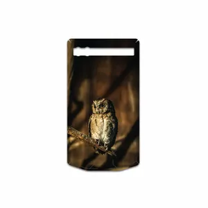 MAHOOT Owl Cover Sticker for BlackBerry P9983
