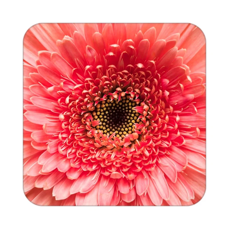 زیر لیوانی کاکتی طرح گل مدل mp16733