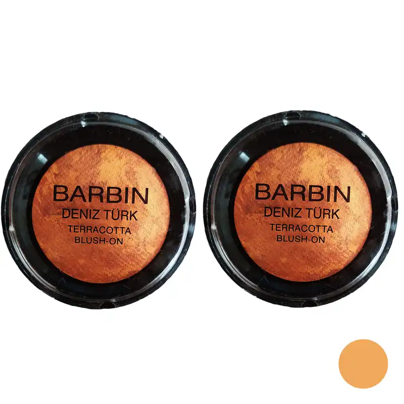 رژگونه باربین شماره A4  مجموعه 2 عددی