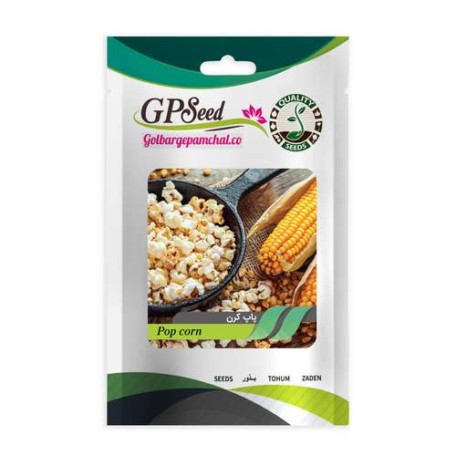 بذر پاپ کرن گلبرگ پامچال کد GPF-289