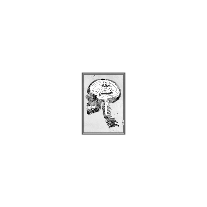 استیکر لپ تاپ لولو طرح مخه خستس کد 624