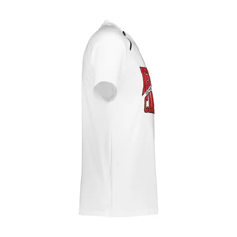 تی شرت ورزشی مردانه مدل GS-SPL-2A0406-W