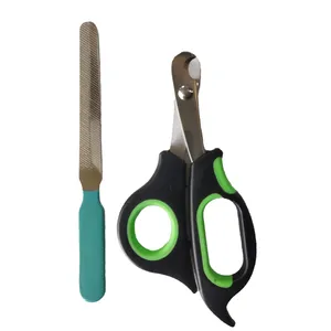 Nail clipper with file