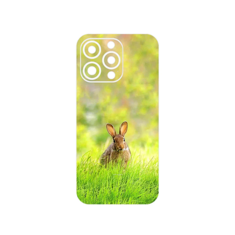 برچسب پوششی ماهوت مدل Rabbit مناسب برای گوشی موبایل اپل iPhone 13 Pro Max