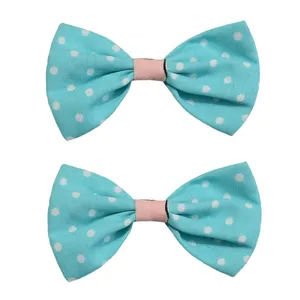 گیره مو دخترانه مدل a 63 بسته 2 عددی