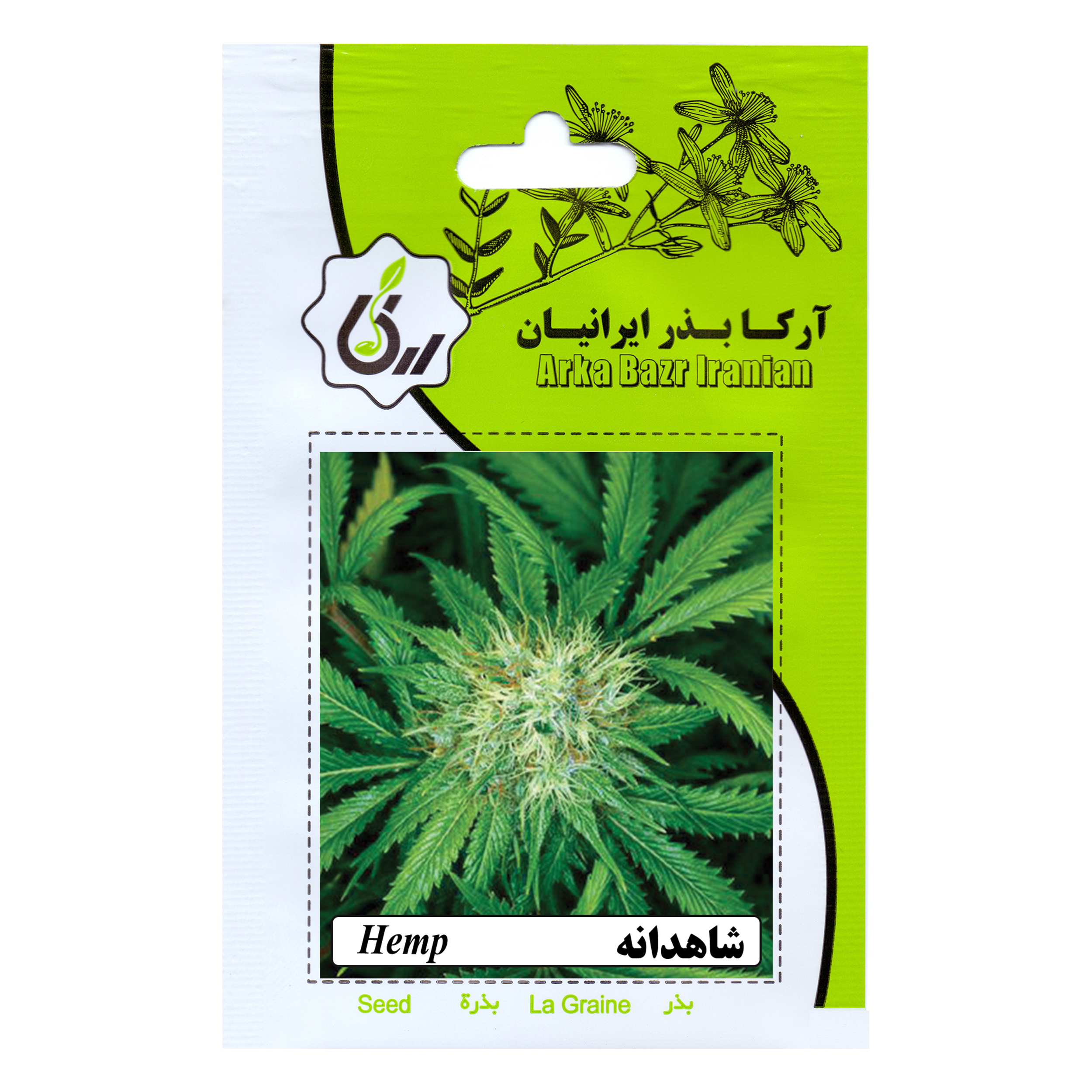 بذر شاهدانه آرکا بذر ایرانیان کد 1-ARK