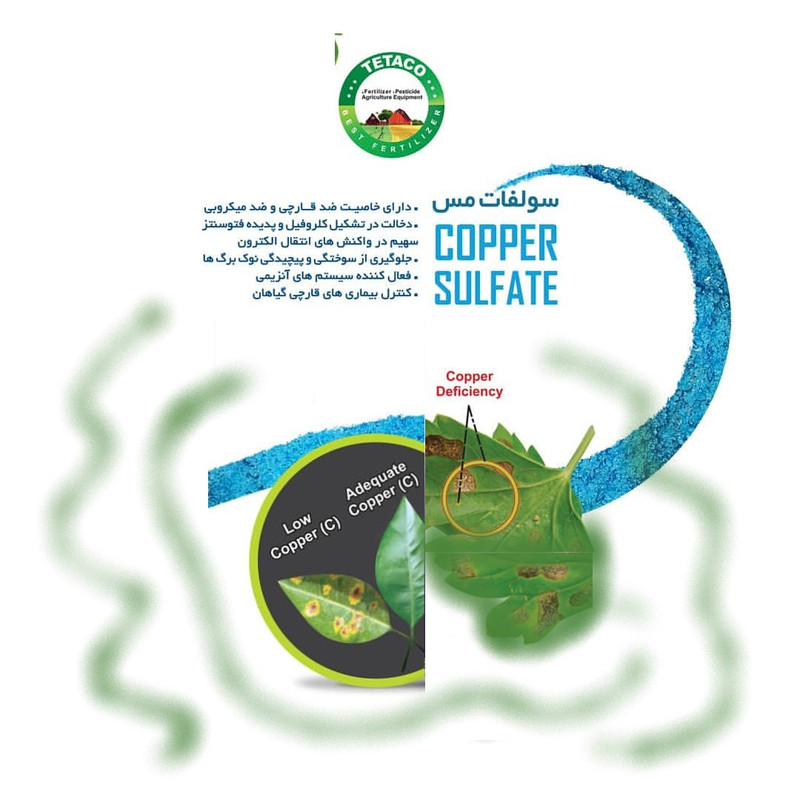 کود سولفات مس تتاکو مدل GROWFAST وزن 1 کیلوگرم
