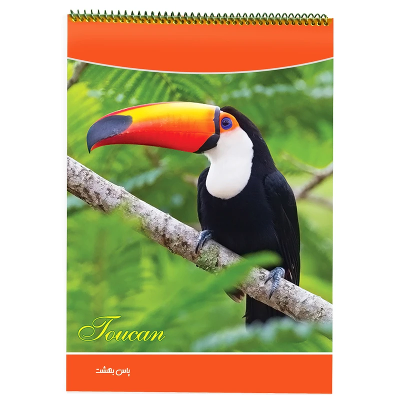 دفتر نقاشی 30 برگ یاس بهشت طرح توکان