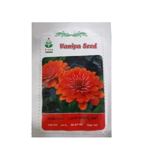 بذر آهار ، پاکوتاه ، نارنجی وانیا سید کد O13