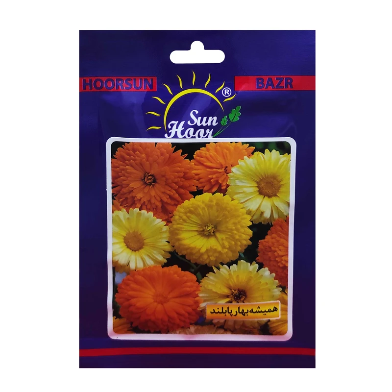 بذر گل همیشه بهار پابلند هورسان کد HSN-046