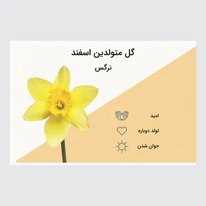 کارت پستال ماهتاب مدل گل ماه تولد اسفند کد 2102