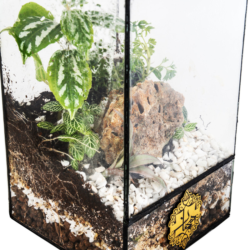 تراریوم هیمان مدل مکعب مستطیلی کد HV012