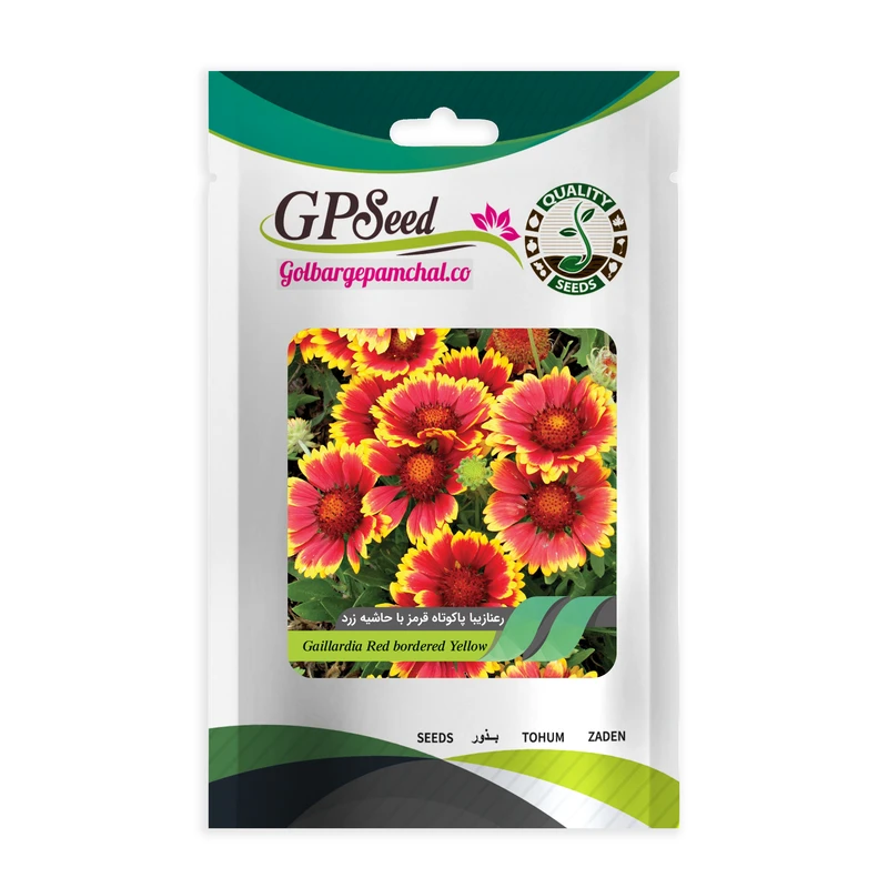 بذر گل رعنا زیبا پاکوتاه قرمز باحاشیه زرد گلبرگ پامچال کد GPF-247