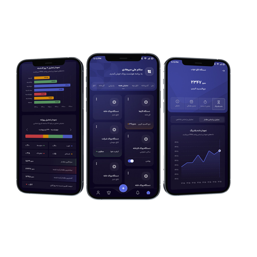 دیتالاگر دما و رطوبت آنلاین ویاک مدل TH-MW01