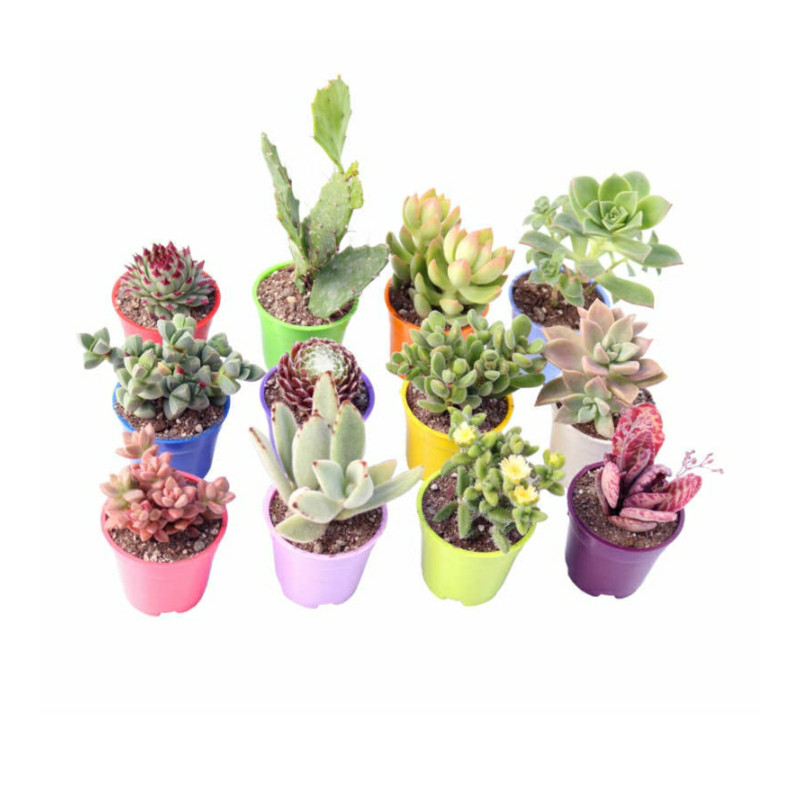 گلدان مدل A-06 مجموعه 13 عددی